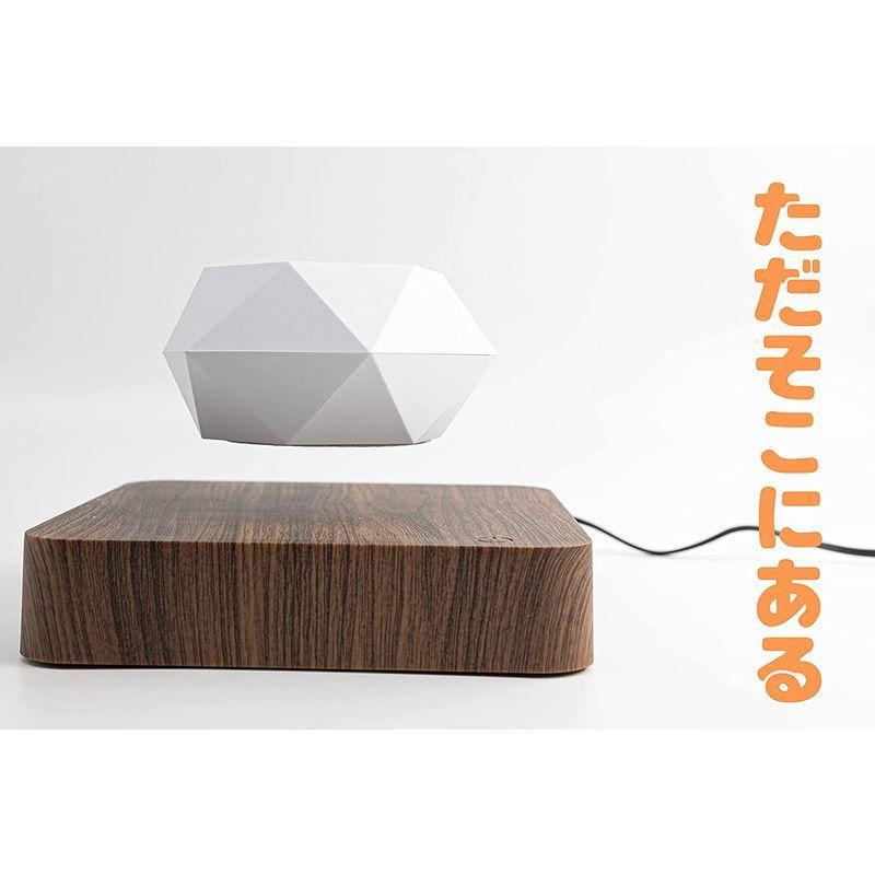 期間セール ！ MOETATSU 磁気浮上 空中浮遊 植木鉢，おしゃれなインテリア、面白いグッズ、多肉植物用鉢、贈り物、プレゼント、ギフト、日本語取扱説明書 【1402424733】(9105円)