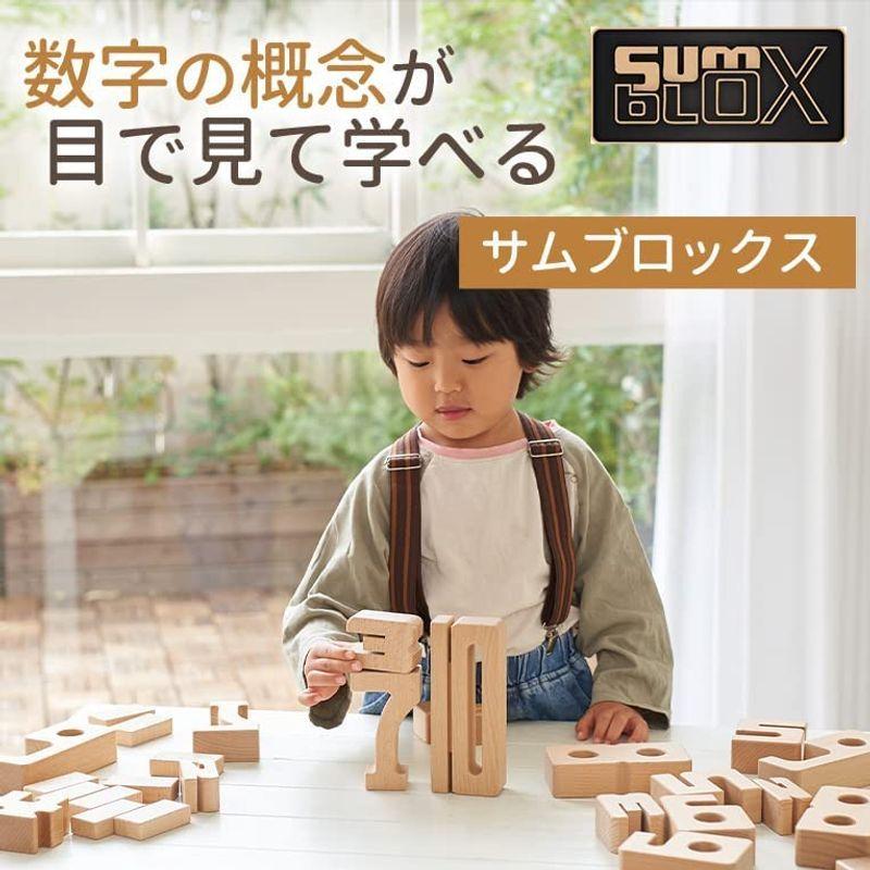 数字 おもちゃ 積み木 木のおもちゃ 木製 知育玩具 3歳 4歳 5歳 6歳 Sumblox サムブロックス スターターセット ガイドブック 3歳 おもちゃ 積み木 木のおもちゃ 木製 知育玩具 4歳 5歳 6歳 Sumblox サムブロックス スターターセット ガイドブック
