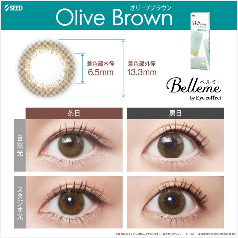 ベルミー Belleme 30枚入 10箱 送料無料 1day カラコンの画像
