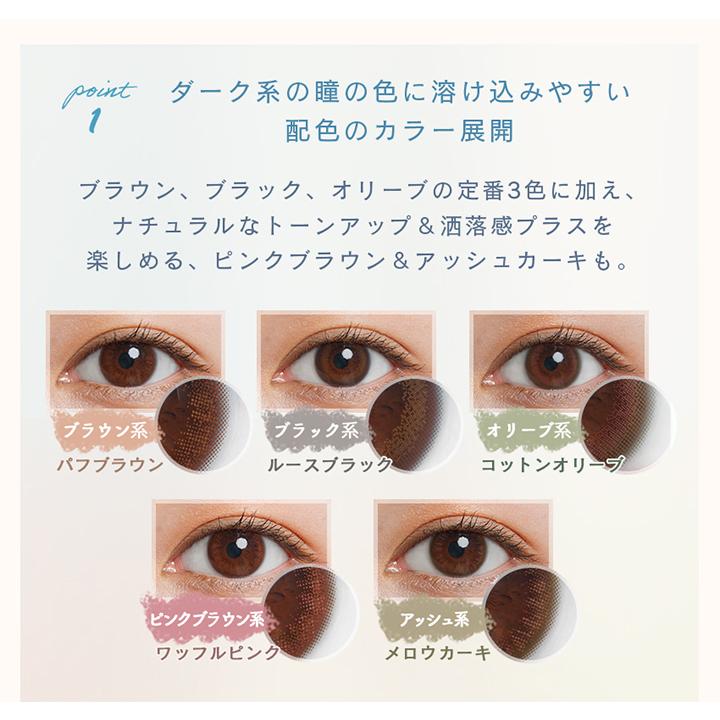 【送料無料】ルミアコンフォートワンデー 1Dayサークル   10枚入り 12箱セット   1day シンシア_8