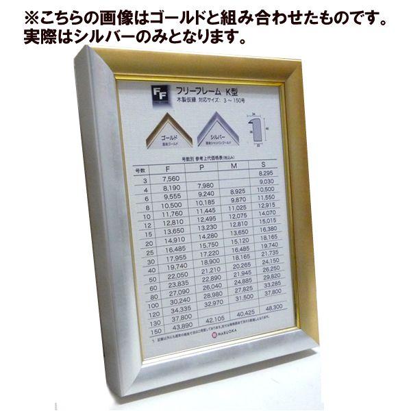 仮額 フリーフレーム K型 シルバー S3