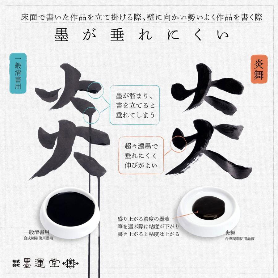 炎舞 （えんぶ） 10kg 【懸命】