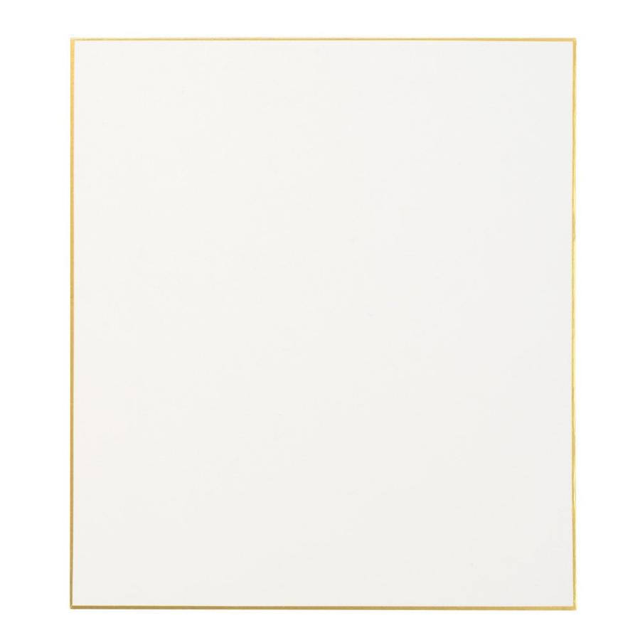 WATERFORD ウォーターフォード 水彩紙 コットン100％ 190g/m2 細目 ホワイト 大色紙 (272×242mm) EHSK-01｜yumegazai｜02