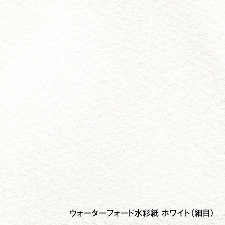 WATERFORD ウォーターフォード 水彩紙 コットン100％ 190g/m2 細目 ホワイト ミニ色紙 (75×75mm) 10枚入 EHSK-03｜yumegazai｜05