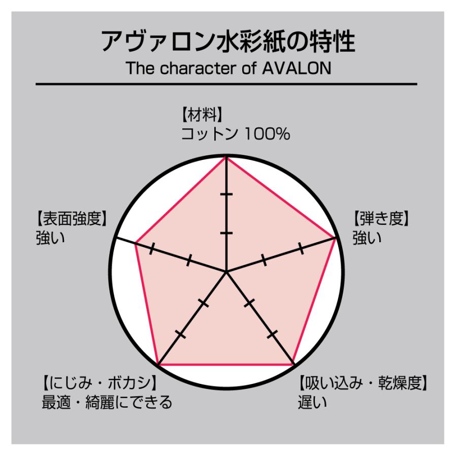 AVALON アヴァロン 水彩紙 コットン100％ 300g/m2 中目 ブロック F3 (273×220mm) 12枚とじ AVB-F3｜yumegazai｜02