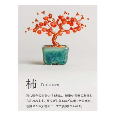 ねじって盆栽キット ネジッテ BONSAI Beaded BONSA 柿 Persimmon 