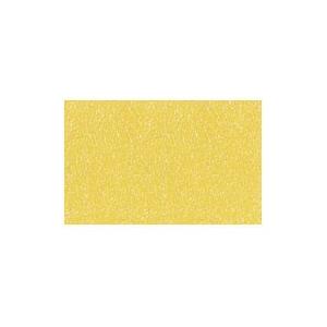 上羽絵惣 新彩 岩えの具 アイヴォリー色 500g 番手-5 画材、アート用品-楽器、手芸、コレクション-日本画用絵具