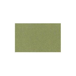 上羽絵惣 新彩 岩えの具 老松 (緑雲末) 500g 番手-新10 楽器、手芸、コレクション-画材、アート用品-日本画用絵具