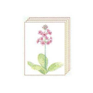 塗り絵 塗り絵物語 かわいい花編 クリンソウ Zk 2581 010 ゆめ画材 通販 Yahoo ショッピング