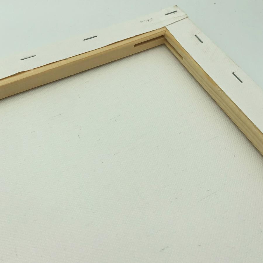 ストレッチ キャンバス 包張り F10 (530mm×455mm) 裏止め 8枚セット_2