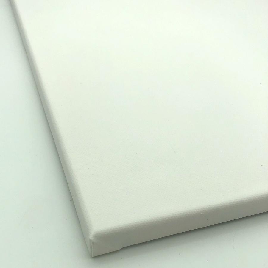 ストレッチ キャンバス 包張り F6 (410mm×318mm) 裏止め 6枚