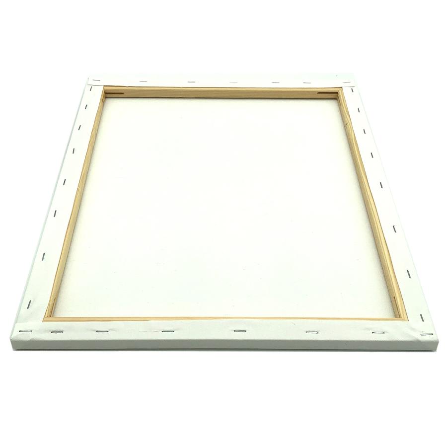 ストレッチ キャンバス 包張り F8 (455mm×380mm) 裏止め 6枚セット