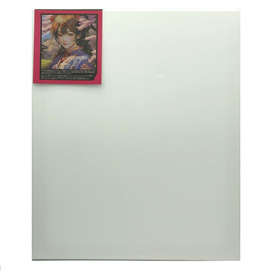 ストレッチ キャンバス 包張り F8 (455mm×380mm) 裏止め 6枚セット