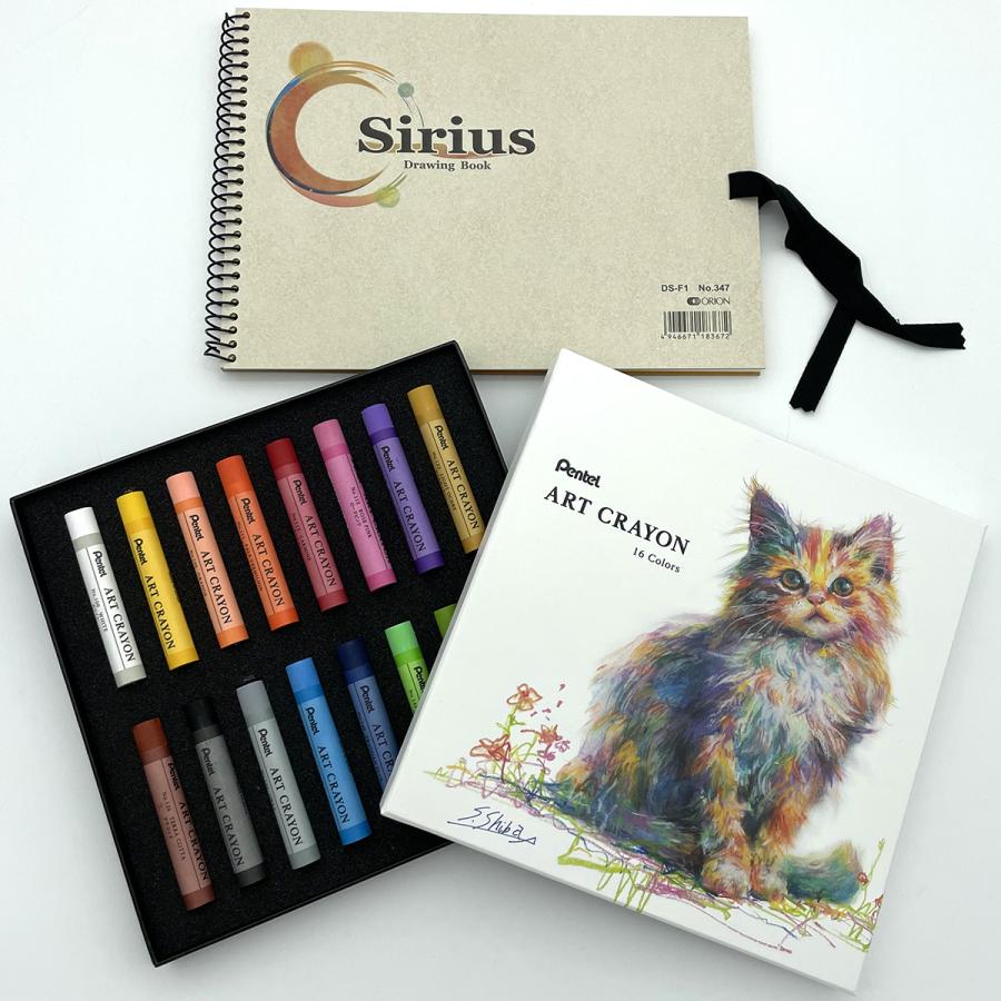 ぺんてる アートクレヨン 16色セット スケッチブック付き : ゆめ画材