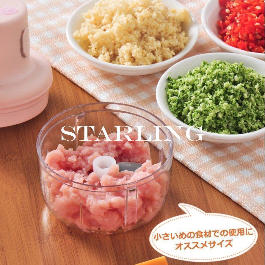 ブランド登録なし 5秒でニンニクみじん切りができる! みじん切り ブランド登録なし 5秒でニンニクみじん切りができる! みじん切り
