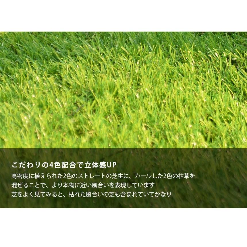 人工芝 ロール 1m×10m 芝丈20mm 高密度32.76万本／m2 リアル人工芝 庭