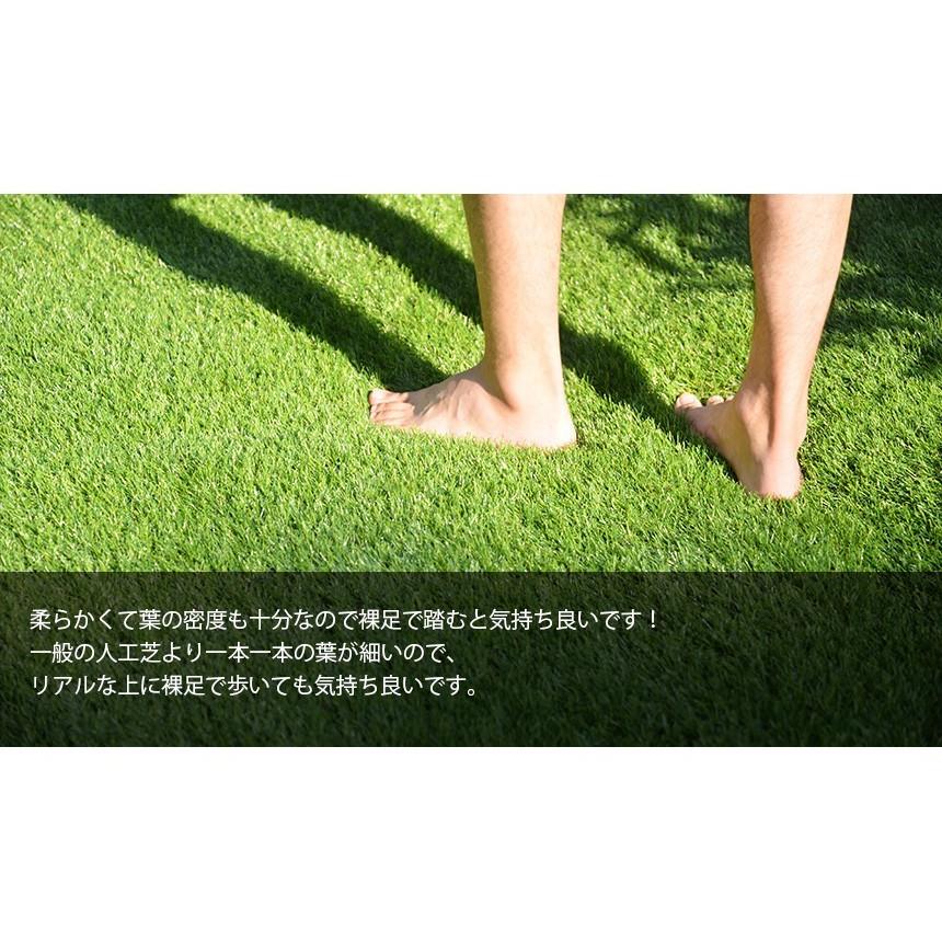 人工芝 ロール 1m×10m 芝丈20mm 高密度32.76万本／m2 リアル人工芝 庭