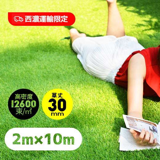全品11 Off 新作記念価格 人工芝 ロール 幅2m 長さ10m リアル人工芝 芝丈30mm 庭 ベランダ 整地 ガーデニング U字ピン42本付 西濃運輸 ユメカpaypayモール店 通販 Paypayモール