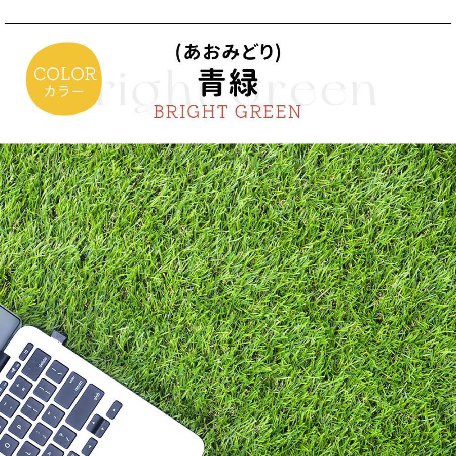 人工芝 ロール 幅2m 長さ10m 高密度 リアル人工芝 芝丈30mm 庭 ベランダ 防草 Diy 芝生 人工芝生 ガーデニング U字ピン42本付 ユメカpaypayモール店 通販 Paypayモール