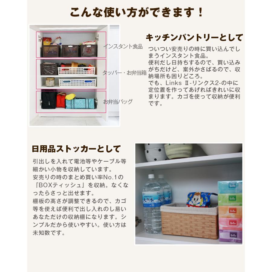お子様のいる家庭でも安心して使えるカウンター下収納 食器棚 ロータイプ カウンター下収納 Links リンクス2 フルフラット 120D 120幅 奥行30cm 扉タイプ 薄型_12