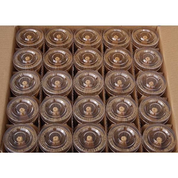 茶筅 25本セット 100本立て 百本立て 25個まとめ 卸価格 茶道具