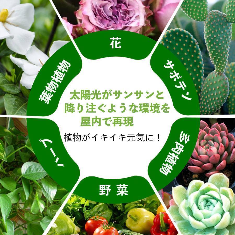 植物育成ライト 7点セット ほぼ未使用 美品 お得価格 楽天市場】植物育成ライト LED 育成ライト LED栽培 多肉植物 観葉植物