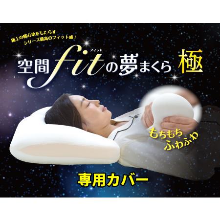 空間fitの夢まくら 極 専用カバー 2枚セット 送料無料 替え 丸洗い