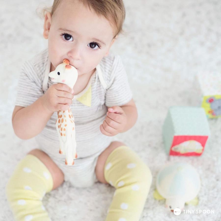 好評 日本正規品 ソフトブロック キリンのソフィー Vulli 1歳 6ヵ月から遊べる 0歳 乳児 パズル 赤ちゃん 可愛い 玩具 知育 知育玩具 Www Fattoriabacio Com
