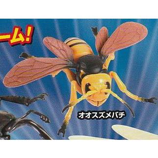 昆虫の森 バトルトーナメント オオスズメバチ1種単品 ガチャ