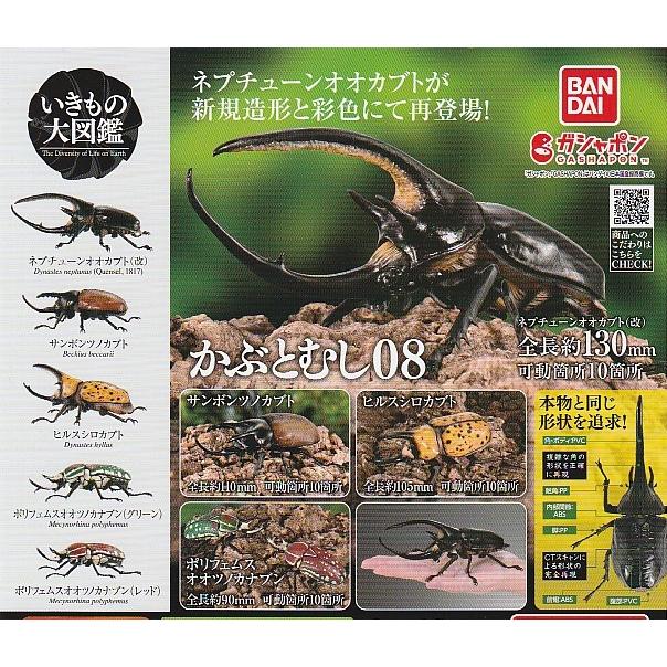 いきもの大図鑑 かぶとむし08 全5種セット ガシャポン : ガチャポンの