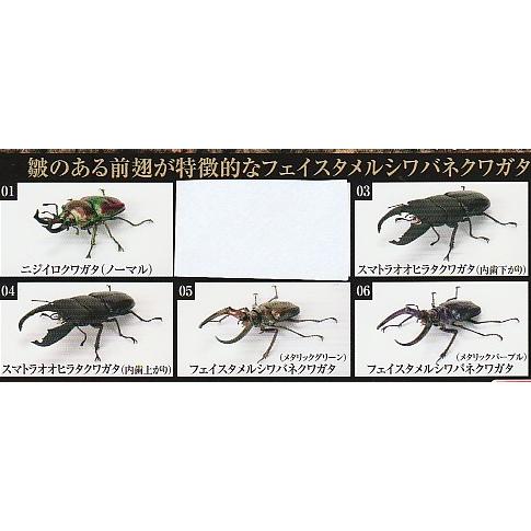 いきもの大図鑑 くわがた10 5種セット : ガチャポンの山 - 通販