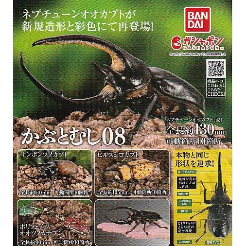 いきもの大図鑑 かぶとむし08 4種セット(ヒルスシロカブトを除く