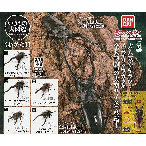いきもの大図鑑　くわがた 幼虫 バンダイ いきもの大図鑑 くわがた02 ノコギリクワガタ幼虫