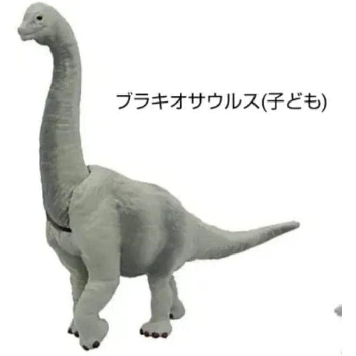 カプセルアニア 恐竜＆古代生物オンパレード！ プラキオサウルス(子供 