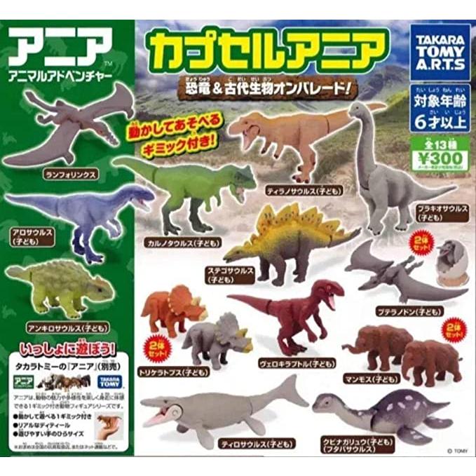 カプセルアニア 恐竜＆古代生物オンパレード！ プラキオサウルス(子供 
