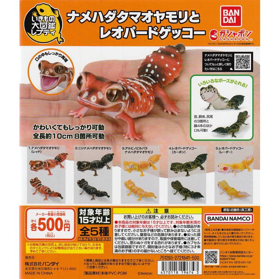 いきもの大図鑑レプティ ナメハダタマオヤモリとレオパードゲッコー 3