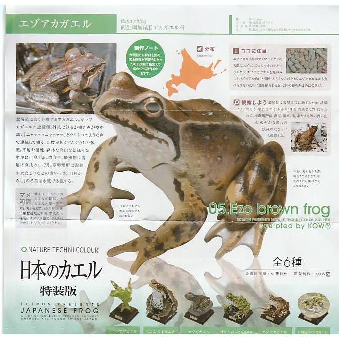 ネイチャーテクニカラー日本のカエル 特装版 エゾアカガエル1種単品