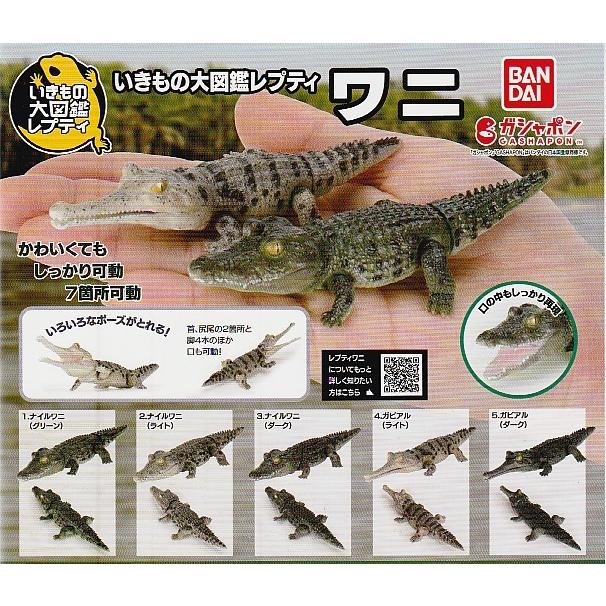 いきもの大図鑑レプティ ワニ 全5種セット ガシャポン : ガチャポンの