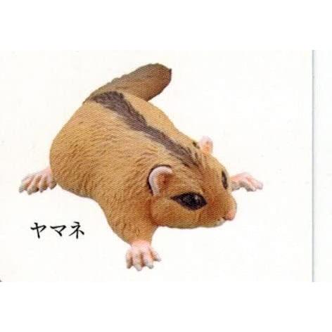 日本の動物コレクション8日本アルプス編