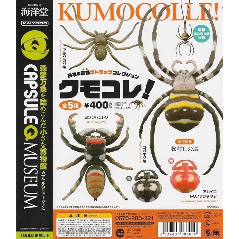 カプセルQ 日本の蜘蛛ストラップコレクション クモコレ！ アカイロ