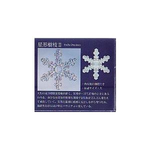 ネイチャーテクニカラーMONO 雪の結晶チャームストラップ 星形樹枝II