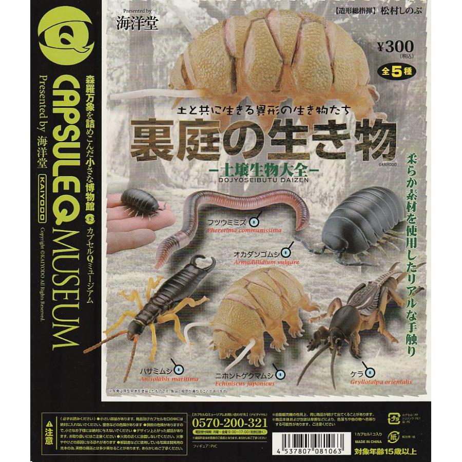 カプセルq カプセルQ 日本の動物84体セット ノーマルコンプ 公式通販
