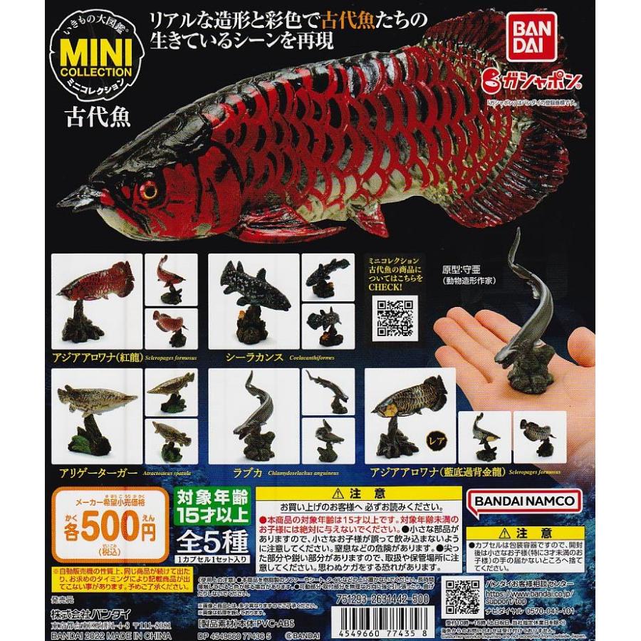 いきもの大図鑑ミニコレクション 古代魚 【台紙】POP : ガチャポンの山