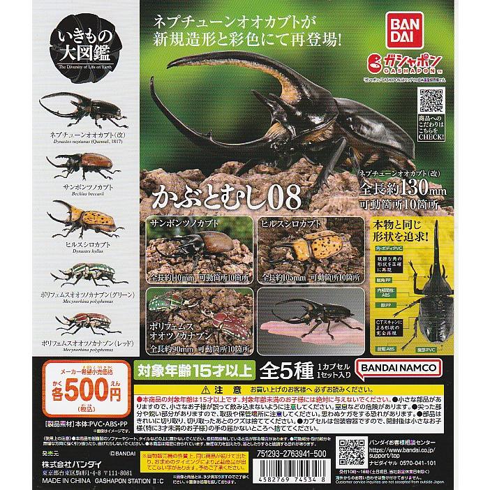 いきもの大図鑑 かぶとむし08 【台紙】POP : ガチャポンの山 - 通販