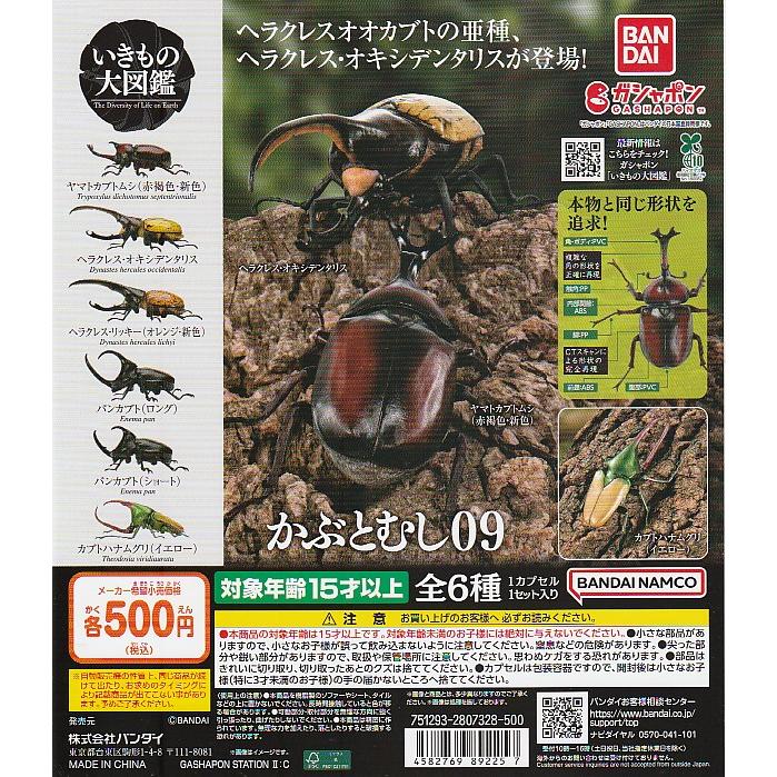 いきもの大図鑑 かぶとむし09 【台紙】pop : ガチャポンの山