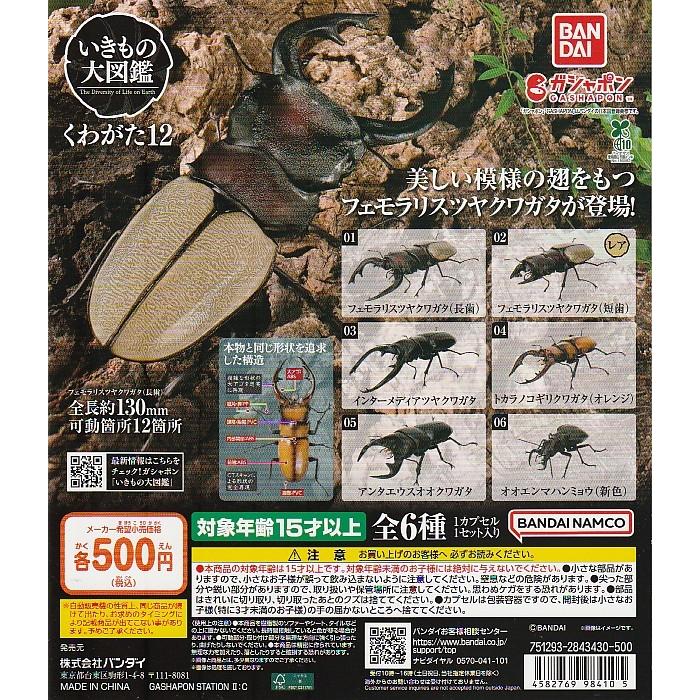 いきもの大図鑑 くわがた12 【台紙】POP : ガチャポンの山 - 通販