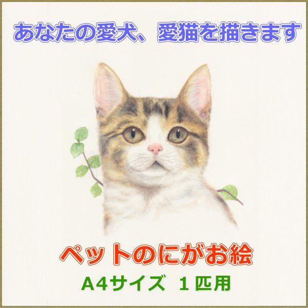 [本日発送 ] MW0FNCQ2JLZ (MW0FNCQ2JLZ)