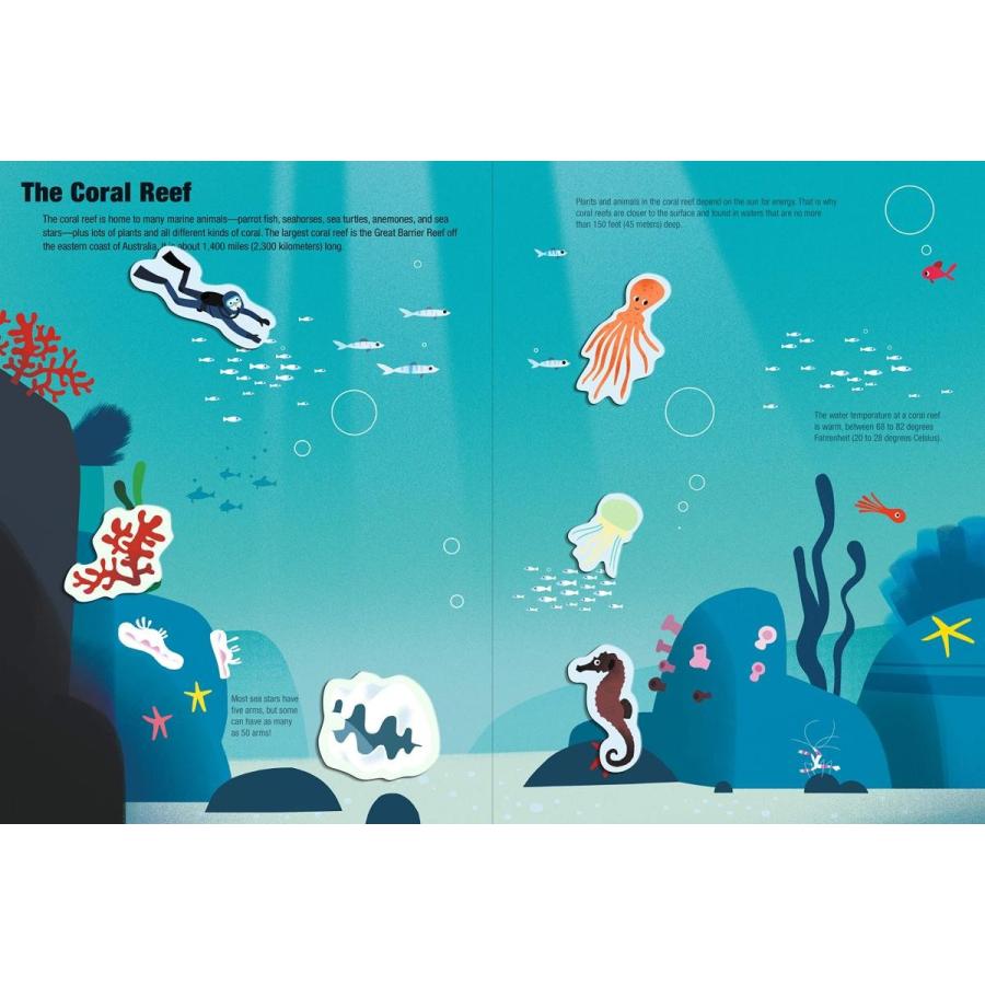 英語のしかけ絵本】Ocean Magnetology CHRONICLE BOOKS 生き物の