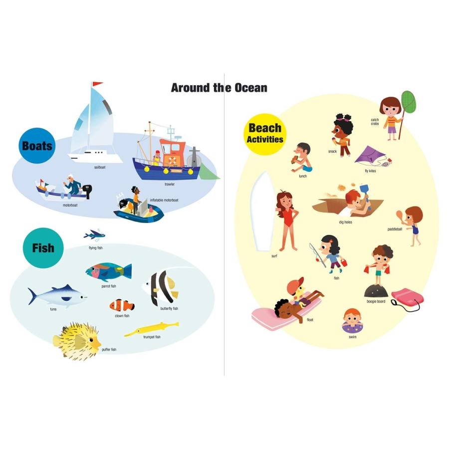 英語のしかけ絵本 Ocean Magnetology Chronicle Books 生き物の豊かな海をマグネットで遊ぼう オーシャン 海洋 対象年齢 5 6歳 宅急便 サイズ80 X6 W6w4 1v12 ゆめみる絵本 ヤフー店 通販 Yahoo ショッピング