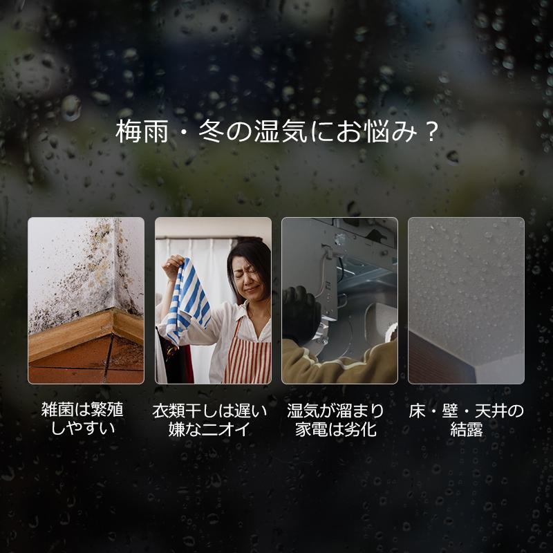 クーポンで25800円」除湿機 コンプレッサー式 コンパクト 11L/日強力